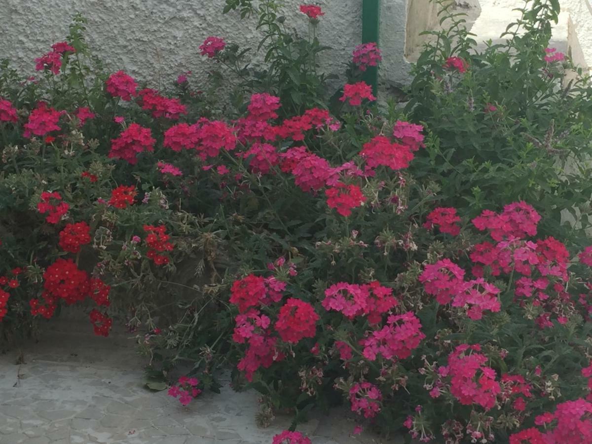 Casa Sul Mare - Wifi Free - Parcheggio Privato Lägenhet San Foca Exteriör bild